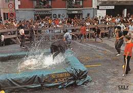 Hasparren - Courses De Vaches Dans Les Rues - Hasparren