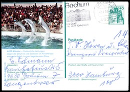 76914) BRD - P 125 - F5/72 - OO Gestempelt - 4400 Münster, Zoo Delphine - Geïllustreerde Postkaarten - Gebruikt