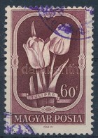 O 1951 Virág II. 60f Tévnyomat, A Piros Szín Hiányával (70.000) - Andere & Zonder Classificatie