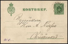 Svédország 1891 - Andere & Zonder Classificatie