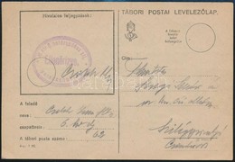 1940 Tábori Posta Levelezőlap 'M.kir.6. Határvadász Zlj. Parancsnokság' - Andere & Zonder Classificatie