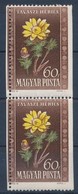 ** 1950 Virág 60f Elfogazott Függőleges Pár / Mi 1114 Misperforated Vertical Pair - Andere & Zonder Classificatie