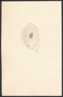 Dániel Viktor (1926-): Ex Libris Lippóczy Norbert. Rézkarc, Papír, Jelzett, 5×4 Cm - Andere & Zonder Classificatie