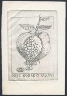 P. L. Gerosa (?-?): Numizmatikai Ex Libris, Dott. Roberto Callini. Rézkarc, Papír,  Jelzett A Nyomaton, 6.5×5.5 Cm - Andere & Zonder Classificatie