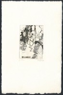 Gyarmati Lea (1938-): Ex Libris. Rézkarc, Papír, Jelzett, 7×5 Cm - Sonstige & Ohne Zuordnung