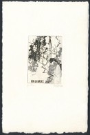 Gyarmati Lea (1938-): Ex Libris. Rézkarc, Papír, Jelzett, 7×5 Cm - Andere & Zonder Classificatie