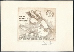 László Anna (1946-): Ex Libris Herbert Schwarz. Rézkarc, Papír, Jelzett, 6x7 Cm - Andere & Zonder Classificatie