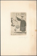 Nechánszky József(1936-): Ex Libris, Dr. Illyés Láslzó, Jog. Rézkarc, Papír, Jelzett  / Etched Bookplate 6x8 Cm - Andere & Zonder Classificatie