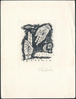 Win Zviers (1922-): Ex Libris G. A. Lewin.. Rézkarc, Papír, Jelzett  / Etched Bookplate, 8x9cm - Andere & Zonder Classificatie