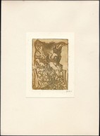 6 Vegyes, Jelzett Ex Libris. Rézkarc, Papír, Jelzett  / Etched Bookplates - Andere & Zonder Classificatie