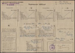 1944 Kolozsvári állami Tanító Származási Igazolása - Zonder Classificatie