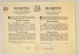 1957 Nemzeti Kiscímerrel ('Kossuth-címer') Díszített ELTE állam és Jogtudományi Doktori Diploma, Székely György (1924-20 - Zonder Classificatie