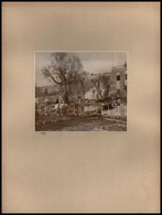 1934 Jeruzsálem, Getsemani-kert, Kartonra Kasírozott, Feliratozott Fotó, 12,5×14,5 Cm - Andere & Zonder Classificatie