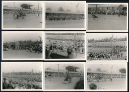 Cca 1960 Kutyaverseny A Régi ügetőpályán, 15 Db Fotó, 6,5×9,5 Cm - Andere & Zonder Classificatie
