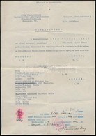1944 Bp., Svéd Vöröskereszt Magyarországi Kirendeltségének Tudakozó Osztálya által Kiállított Igazolvány Másolat - Sonstige & Ohne Zuordnung