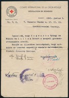 1945 Vöröskereszt Gyermekvédelmi Osztálya által írt Levél, Melyben Utazási Engedélyt Kérnek - Other & Unclassified