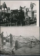 Cca 1940 3 Db Halászattal Kapcsolatos Fotó 16x12 Cm - Sonstige & Ohne Zuordnung