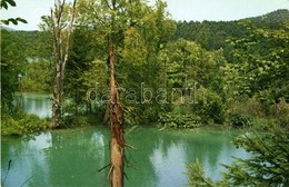 ** 5 Db MODERN Horvát Képeslap A Plitvicei Tavakról / 5 Modern Croatian Postcards From Plitvice Lakes - Unclassified