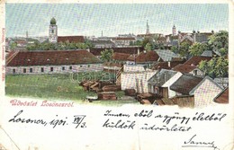 T3/T4 1901 Losonc, Lucenec; Látkép, Zsinagóga. Kiadja Kármán 6584. / General View With Synagogue (fa) - Zonder Classificatie