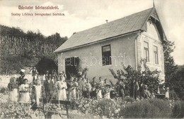 T2/T3 1911 Beregszász, Berehove; Lőrinclak, Szalay Lőrinc Beregszászi Borháza, Szőlőskert, Szőlészet. Kiadja Ignáczy Géz - Zonder Classificatie