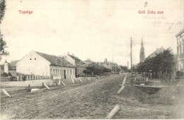 T2 1909 Bácstopolya, Topolya, Backa Topola; Gróf Zichy Utca. Riesz Béla Kiadása / Street - Zonder Classificatie