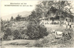 * T2 Schmittenhöhe, Mittelstation Bei Zell Am See / Horse Chariot, Restaurant Schweizerhütte - Unclassified