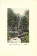 ** T1/T2 Rychnov Nad Kneznou, Partie 'na Ostruvku' Ve Vcelném / Vcelná / Lake, Fisherman - Zonder Classificatie