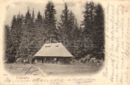 T3 1910 Lopuszno, Lopusno; Wooden House In The Forest, Chalet (EB) - Ohne Zuordnung