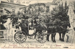 T2/T3 1905 Bucharest, Bukarest, Bucuresti; Muscal / Fiacre, Horse-drawn Carriage. Editura Ad. Maier & D. Stern (EK) - Zonder Classificatie