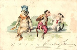 T3 1905 Monkey And Dog Smoking At The Cat, Litho (kis Szakadás / Small Tear) - Unclassified