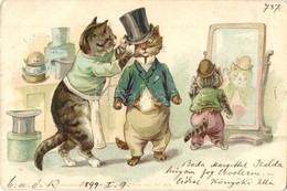 T2/T3 1899 Cat Lady Dresses Cat Gentleman. Theo. Stroefer Kunstverlag. Serie VII. No. 5523. Litho (EK) - Ohne Zuordnung