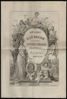 Budapest 1913. 'Első Magyar Általános Biztosító Társaság Budapesten - Biztosítás Az Ember életére' Kötvény Kitöltve, 300 - Unclassified