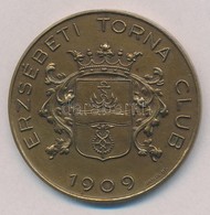 ~1920-1930. 'Erzsébeti Torna Club 1909' Br Emlékérem 'HAWEL BP' Gyártói Jelzéssel (48mm) T:2 - Zonder Classificatie