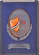 1957. 'D.I.B. (Dunakanyar Intéző Bizottság) - Alapításért' Részben Zománcozott Fém Plakett Eredeti Tokba Erősítve T:1- - Unclassified