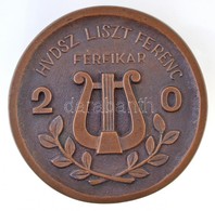 DN 'HVDSZ Liszt Ferenc Férfikar' Egyoldalas Br Plakett (83mm) T:1-,2 - Zonder Classificatie