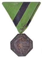 ~1930. 'Sportvilág Verseny Díja / Budapest-Siófok' Jelzetlen Díjérem Mellszalagon (33mm) T:2 Patina - Zonder Classificatie