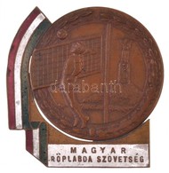 1950. 'Magyar Röplabda Szövetség / Terem I. O. Ffi. III. 1950' Részben Zománcozott Fém Díjérem (43,5x45mm) T:2 Kis Patin - Unclassified