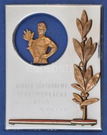 1955. 'Kiváló Társadalmi Munkáért 1955 VII. Ker. T.S.B.' Aranyozott, Zománcozott Fém Plakett Tokba Rögzíte (100x75mm) T: - Ohne Zuordnung