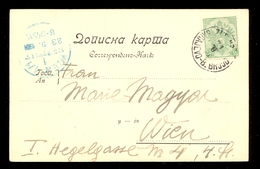 AUSTRIA, BOSNIA AND HERZEGOVINA - Postcard Of Sarajevo Addressed To Wien, Cancelled With T.P.O. Sarajevo-B.Brod / 2 Scan - Altri & Non Classificati