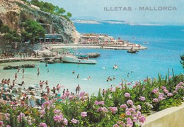 ILLETAS MALLORCA (dil401) - Mallorca