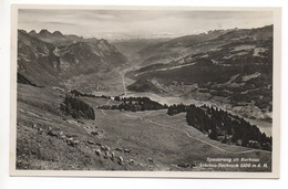 WALENSTADT Spazierweg Ob Kurhaus Schrina-Hochruck Kühe Photo E. Widmer Wallenstadt - Walenstadt