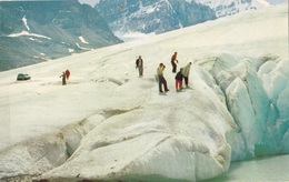 JASPER NATIONAL PARK  AUTENTICA 100% - Edmonton