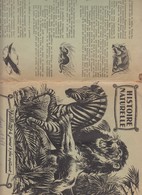 PROTÈGE CAHIER Ancien - PUB VAILLANT - 1961 - Animales