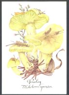 75767- MUSHROOMS, PLANTS - Mushrooms