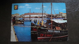 Delcampe - VINAROZ. Puerto Y Plaza De Toros. - Castellón