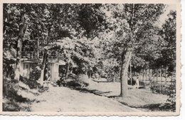 Delcampe - STAVELOT - LA PLAGE - LA BUVETTE - Stavelot