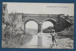 ORLEANSVILLE - Le Pont De Tsighaout - Chlef (Orléansville)