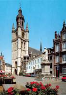 CPM - HALLE - Grote Markt Met Sint-Martinusbasiliek - Halle