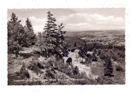 4934 HORN - BAD MEINBERG - LEOPOLDSTAL, Blick Vom Vilmerstot, 1960 - Bad Meinberg