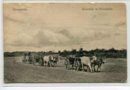 MOLDAVIE RUSSIE Carte RARE Souvenir De BESSARABIE  Attelages Boeufs Transport De Bois  1909 écrite     D01 2019 - Moldavie